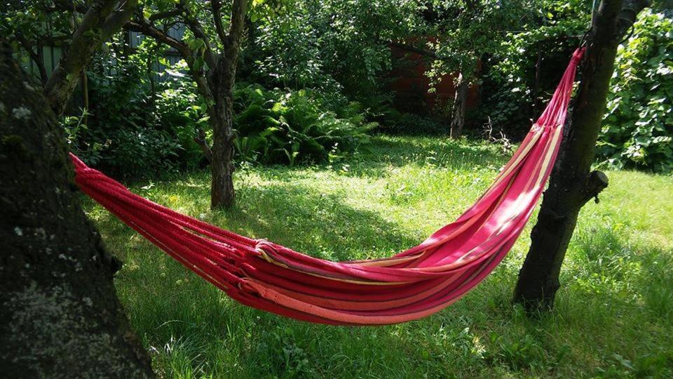 Easy Rider Hostel